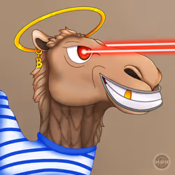 M@NCamels #81