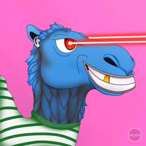 M@NCamels #97
