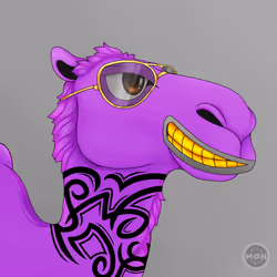 M@NCamels #70