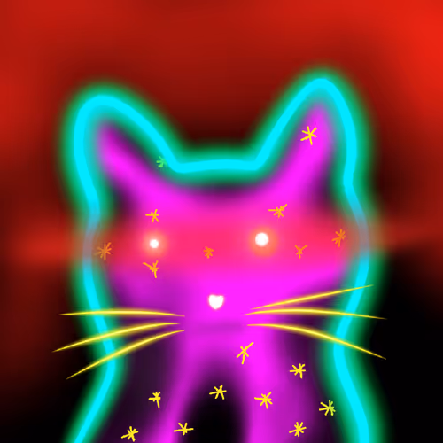 Quantum Catz