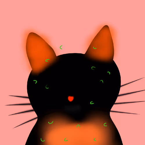 Quantum Catz
