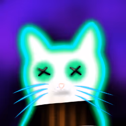 1557