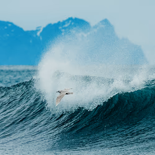 The Land of Fire and Ice V2