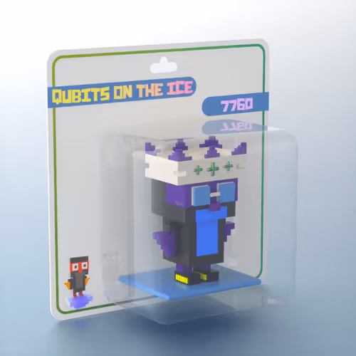 Qubits On The Ice