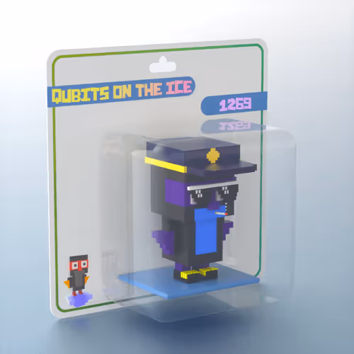 Qubits On The Ice
