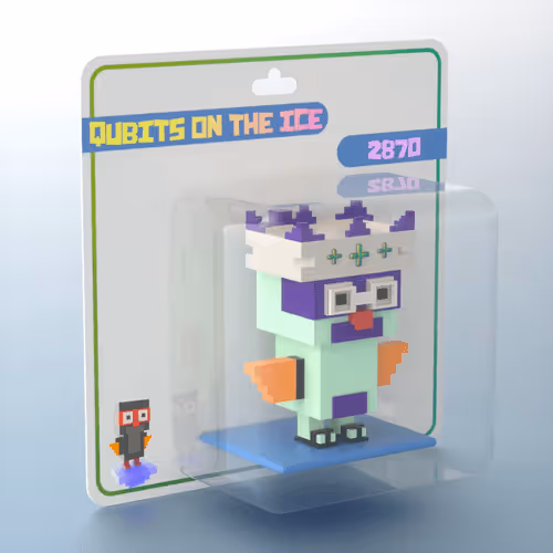 Qubits On The Ice