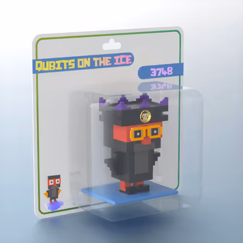 Qubits On The Ice
