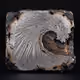 DENDRITIC UNDERTOW-Directional Dendritic Solidification