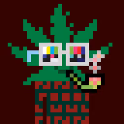 WEEDS #2800