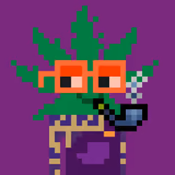WEEDS #8481
