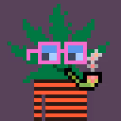 WEEDS #8038