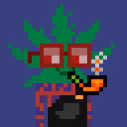 WEEDS #8488