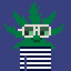 WEEDS #5303