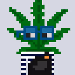 WEEDS #1259
