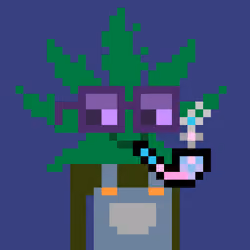 WEEDS #7901