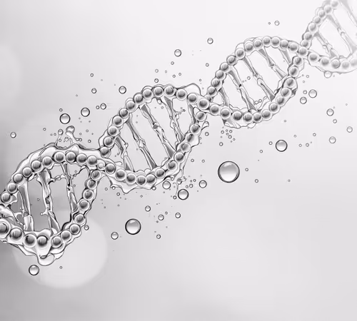 Item #96 Media
