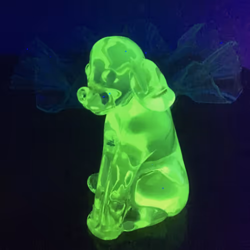DogAngelz 