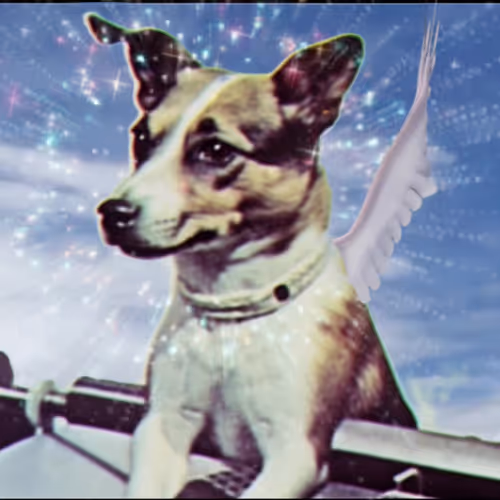 Legendary Laika