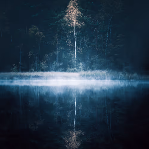 Mikko Lagerstedt Editions