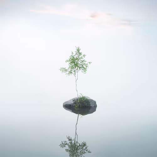 Resilience Mikko Lagerstedt