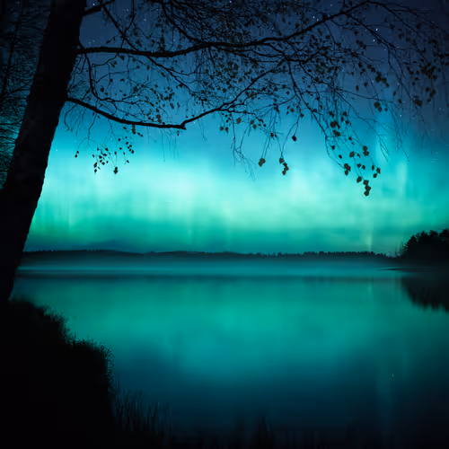 Mikko Lagerstedt Editions
