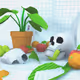 2015 Still Lifes