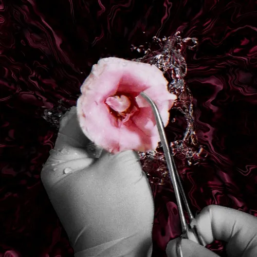 flowers - ZyHpIKn9DD