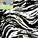 69730527834907561616596749450100934728190206914715519659040305239202079965185