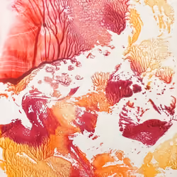 Coral