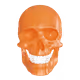 42036127004384208953960483995896736403988420750657092486630544316086009987103