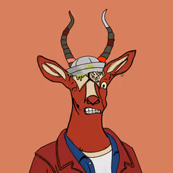 31