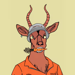 40