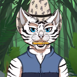 OGCAT #806