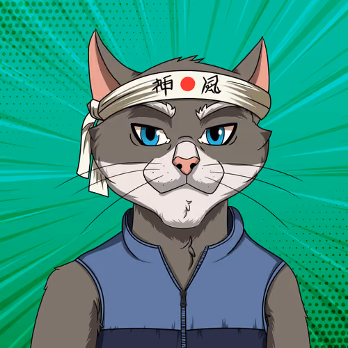 OGCAT #29