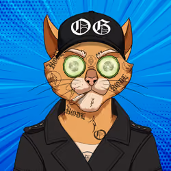 OGCAT #962