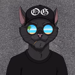 OGCAT #632
