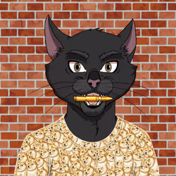 OGCAT #482