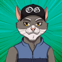 OGCAT #684