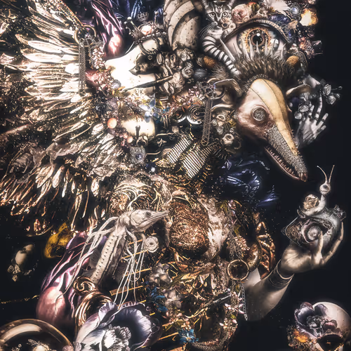 Collection By Sato