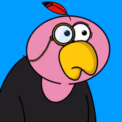 vulture