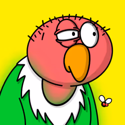 vulture