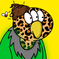 31
