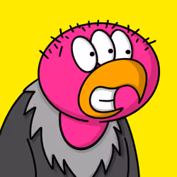 vulture