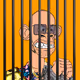 29