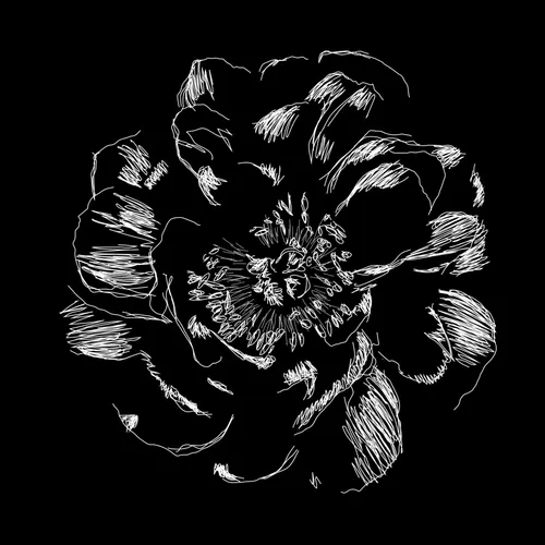 Peony Fleurvm Dec22