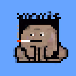 Nakatoad #137