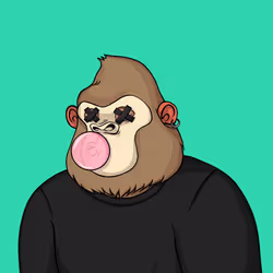 55
