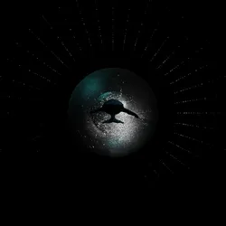 Whale Universe