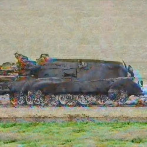 Katie Morris - Tank Dog