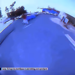 Frank Manzano - Parking Lot Attendees